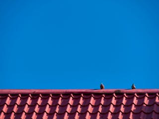 Dachfirst Einfamilienhaus