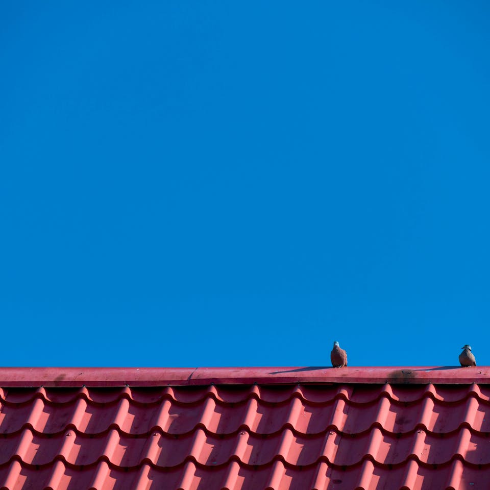 Dachfirst Einfamilienhaus