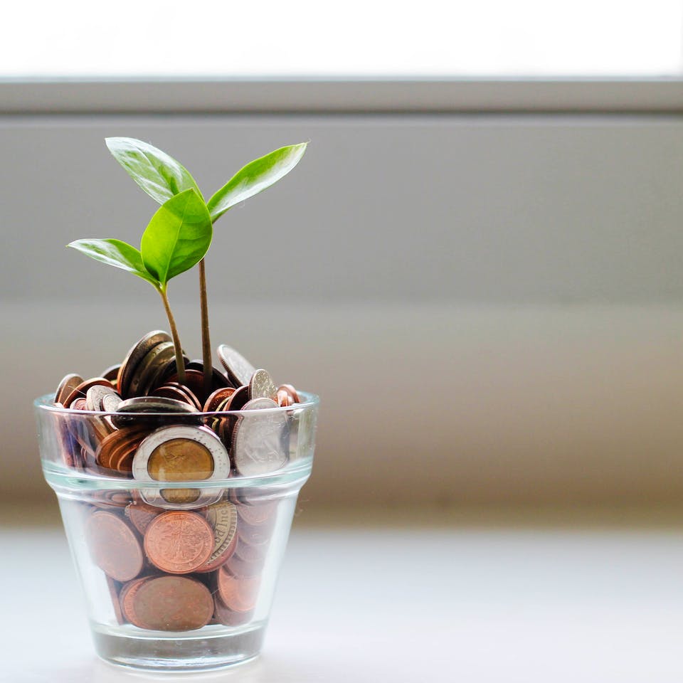 Glas mit Geld und Pflanze