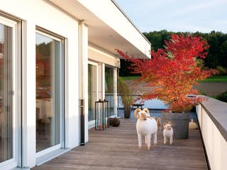 Fertighaus E 10-230.1 - Bungalow mit Dachterrasse von SchwörerHaus Schlüsselfertig ab 783913€, Cubushaus Außenansicht 3