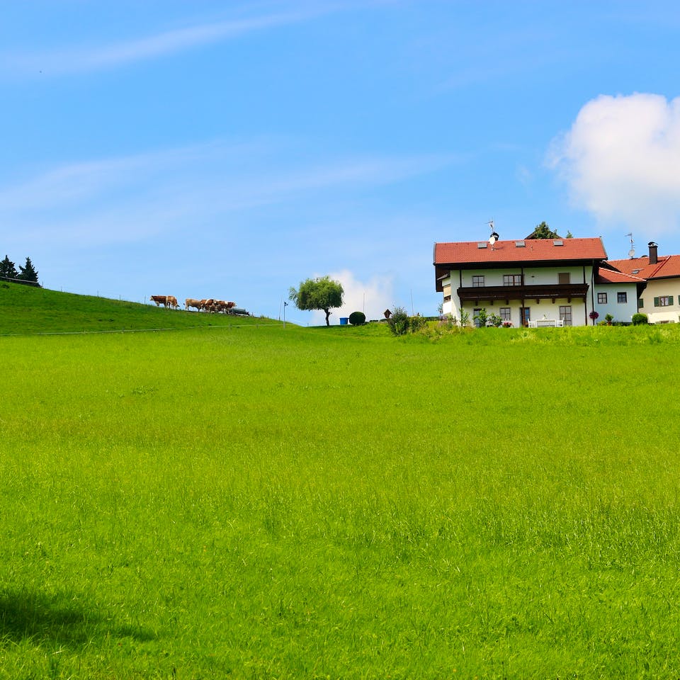 Bauernhaus auf großem Wiesengrundstück